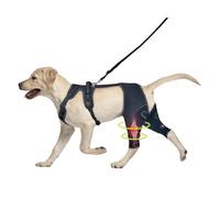 Dog Knee Brace Support - Adjustable ACL Brace For Torn Ligaments, Luxating Patella & Arthritis、Assistance And Leg Protection(M)