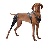 Dog Knee Brace Support - Adjustable Stabilizer, Rear Leg Thigh Protector Sleeve, Post Op Assistive Metal Brace | Recovery Rehabilitation Aid For Torn Injury Prevention Mobility Support After S