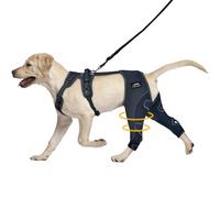 Dog Knee Brace with Injuries ACL - Keeps Joints Warm and Stable, Dog Rear Leg Wrap Harness Set for Leg Wound Care Prevents Licking, Upgraded Adjustable Leg Support