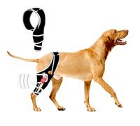 Dog Knee Braces for Back Leg, Knee Brace for Dogs with Torn ACL Hind Leg or Front Leg, Help Pain Relief, Osteoarthritis, Ligament Injuries Adjustable Leg Support Brace for Rear Legs, L