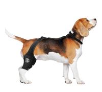 Dog Knee Daycare - Rear Leg Support Clamp | Pet Kneeling Sleeve No Slip with Adjustable Strap | Pet Protective Gear | Belt