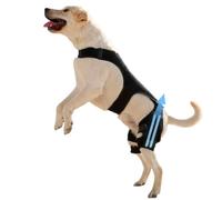 Dog Knee Pads - Adjustable Joint Bandage | Dog Back Paw Brace with 4 Metal Stabilizers | For Hiking Exercise Outdoor Activities Park Beach Voy