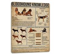 Dog Knowledge Metal Tin Sign Bloodhound Anatomy Chart Poster Retro Pet Shop Farm School Club Home Wall Decoration 16x12 Inch