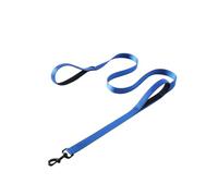 Dog Lead 180cm - Training Leash with Comfortable Handle, Reflective Stitching and Strong 360° Swivel Clasp for Walking (Turquoise)
