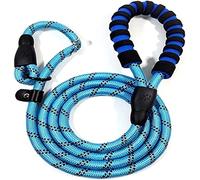 Dog Lead For Cat Adjustable Pet Leash Collar 2 In 1 Reflective Padded Handle Dog Slip Training Rope For Dogs Outside Walking(Blue,1.0 * 140cm)
