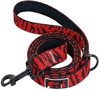 Dog Lead For Cat Bulldog Puppy Dog Leash Nylon Training Rope Pet Walking Lead Cat Harness Collar 4 Feet Outside Walking(Rosso,300cm)