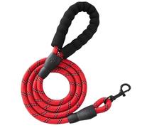 Dog Lead for Dogs, Non-Slip, Explosion-Proof Running Lead with Lockable Carabiner & Padded Hand Strap, Strong Training Lead for Small, Medium, Large Dogs, Red, 3 m x 1.2 cm