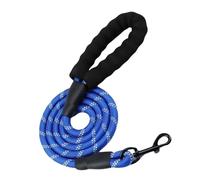 Dog Lead for Dogs, Non-Slip, Explosion-Proof Running Lead with Lockable Carabiner & Padded Hand Strap, Strong Training Lead for Small, Medium, Large Dogs, Blue, 1.5 m x 1.2 cm
