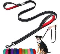 Dog Lead - With Two Padded Handles, Two Dog Leads Modes,Double-Sided Reflective Nylon Dog Leash for Training&Walking Perfect for Medium Dogs
