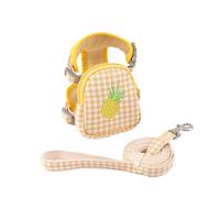Dog Leads for Medium Dogs Pet Backpack Harness with Leash for Cat Small Dog Self Mini Back Pack Pocket Saddle Bags Puppy Bag with Training Leash Doggie Outdoor Travel Hiking Walking