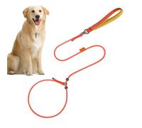 Dog Leads For Small Dogs | 59in Adjustable Escape-Proof Large Dog Harness,360-degree Anti-knot Rotation Escape-Proof Dog Harness Double Limit Design