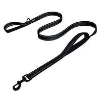 Dog Leash 6ft Long - Traffic Padded Two Handle - Heavy Duty - Double Handles Lead for Training Control - 2 Handle Nylon Leashes for Large Dogs or Medium Dogs - Reflective Leash Dual Handle (Black)