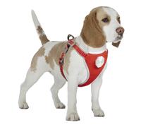 Dog leash and harness Duvoplus Flashlight