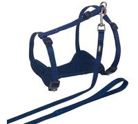 Dog leash and harness Nobby Pet