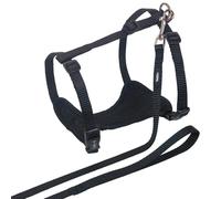 Dog leash and harness Nobby Pet