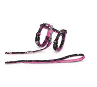 Dog leash and harness Nobby Pet Love