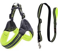 Dog Leash Breathable Nylon Mesh Dog Harness Reflective Adjustable Dog Harness And Leash Set For Dogs Pet Leash Pet Leash(Grün,55-60cm)