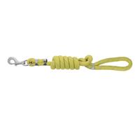 Dog leash Equithème Rio