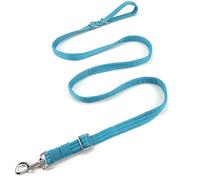 Dog Leash for Obedience Training and Easy to Use, Lightweight, Soft & Durable Adjustable and Easy to Clean for Small Medium Large Dog (Blue, 1.1M-1.8M*2.5CM)