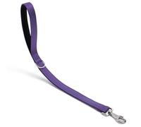 Dog Leash Heavy Duty Metal Hook,Reflective Training Lead,Nylon Traffic Padded Handle Short Dog Leashes. (Purple, 24")