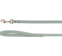 Dog Leash Nela Mint green 1,3m 15mm