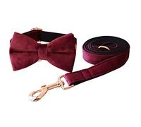 Dog Leash Personalized Nylon Dog Collar Leash Harness Poop Bag Set Adjustable Printed Dog Collars For Pets Pet Leash(33-51cm)