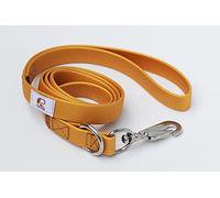 Dog Leash PetsCan Lightweight Waterproof and Odor Proof Dog Leash for Small Medium or Large Dogs (Gold)