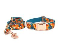Dog Leash Printed Rose Gold Pet Collar Leash Set Comfortable Necklace Collar Pet Supplies Soft Dog Collar Pet Leash(23-30cm)