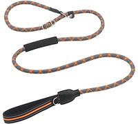 Dog Leash Reflective P Chain Large Slip Collar Pet Walking Lead Dog Climbing Rope Comfortable Pet Leash(G,13mmX150cm)