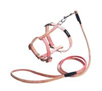 Dog Leash Traction Rope Anti-Break Away, Rope Walking Vest Type Retractable Chain Collar Pet Supplies Pet Leash(Orange,25-30cm)