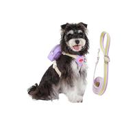 Dog Leashes, All Day Comfort Fit, 25cm, 2026 Dog Harness, Pet Leases With Bag, Enhanced Control Safety, For Small Medium Large Puppy Outdoor Daily Walking Shopping