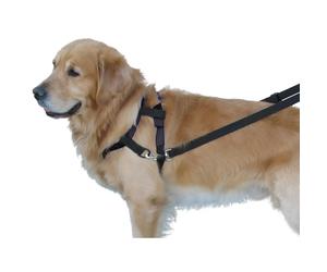 Dog leashes and anti-pull harnesses Nobby Pet Top Walk