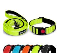 Dog Leashes for Medium & Large Dogs Walking, Reinforced Thick Nylon Pet Leash with Reflective Finish and Soft Hand-held Grip, 5FT, Bright Green, Large