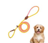 Dog Leashes - Nylon Puppy Training Leash | Anti Pull Pet Leash Accessory for Walks, Runs, Hiking and Camping for Small, Medium and Large Breeds