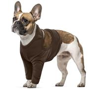 Dog Leg Wound Protector, Small Dog Recovery Suit for Front Legs Joint Wrap with Cotton Pad Stop Licking Wound after Operation(Brown, S)