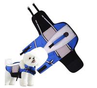 Dog Life Vest, Small Dog Life Vest, Reflective Stripes, Flotation Support for Kayak, Pool, Lake, Beach, Boating, Outdoors