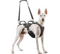 Dog Lift Harness for Large/Medium Dogs, Dog Support & Recovery Sling for Full-Body & Hind/Front Leg - Pee-Able Design - All-in-One Ideal Assistance for Senior, Disabled, Arthritic & ACL Canines (M)