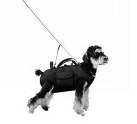Dog Lift Harness for Senior Dogs, Full-Body Support, Dual-Shoulder Carry, S | senior dog mobility aid, breathable Oxford mesh, quick-adjust safety buckles, hands-free walks, post-surgery recovery