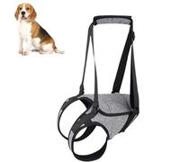 Dog Lift Support Harness - Mobility Sling Strap, Rear Leg Assist, Senior Canine Aid | Padded Joint Recovery Back Harness, Adjustable Walking Stabilizer Injured Disabled Dogs Rehabilitation Movement