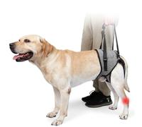 Dog Lifting Harness, Adjustable Emotional Support Dog Harness, Soft Dog Support Harness for Back Legs, Portable Dog Harness with Lift Sponge Handle for Elderly Disabled Joint Dogs
