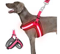 Dog Lighted Harness for Large,No Escape Dog Harness with Durable Buckle,No Chocking,Adjustable Reflective Breathable Harness with Double Traction D-Ring,Dog Pink Harness-Red Light