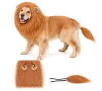 Dog Lion Mane Costume with Tail for Halloween Fancy Dress (S) | Soft, adjustable lion mane and tail set for dogs, offering a realistic look for Halloween and fancy dress parties.