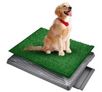 Dog Litter Tray Pet Potty Puppy Grass Pee Pad Holder,Dog Toilet Tray Indoor, Artificial Grass for Dogs,Portable Potty with Tray (20"x25")