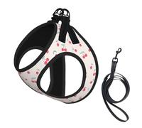 Dog Lovely Sweet Red Cherry Printed Harness And Leash Set,Adjustable,Breathable Soft,Step-In Mesh Pet Vest Harness With Reflective Strip