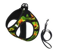 Dog Lovely Tree Frogs Printed Harness And Leash Set,Adjustable,Breathable Soft,Step-In Mesh Pet Vest Harness With Reflective Strip