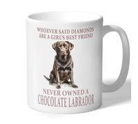 Dog Lovers Collection Chocolate Labrador Mug Gift Whoever Said Diamonds are A Girls Best Friend Never Owned Women, Men, Birthday, Christmas Ceramic 10oz/300ml (Sitting with Pink Text)