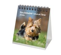 Dog Magic Yorkshire Terrier Desk Calendar 10 cm x 10 cm for 2026 Puppies and Dogs - Contents: 1 x Calendar, 1 x Christmas Pendant, 1 x Greeting Tag (Total 3 Pieces)