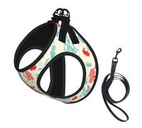 Dog Magician Rabbit Printed Harness And Leash Set,Adjustable,Breathable Soft,Step-In Mesh Pet Vest Harness With Reflective Strip