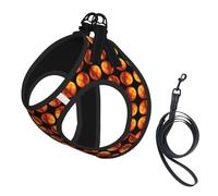 Dog Mars Planet Printed Harness And Leash Set,Adjustable,Breathable Soft,Step-In Mesh Pet Vest Harness With Reflective Strip