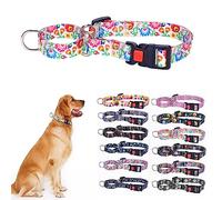 Dog Martingale Collar, Premium No Slip Collar, Great for Whippets, Greyhounds, and More White Flower S